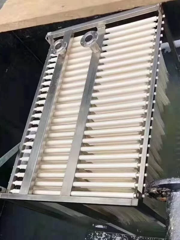 Municipal Wastewater Treatment