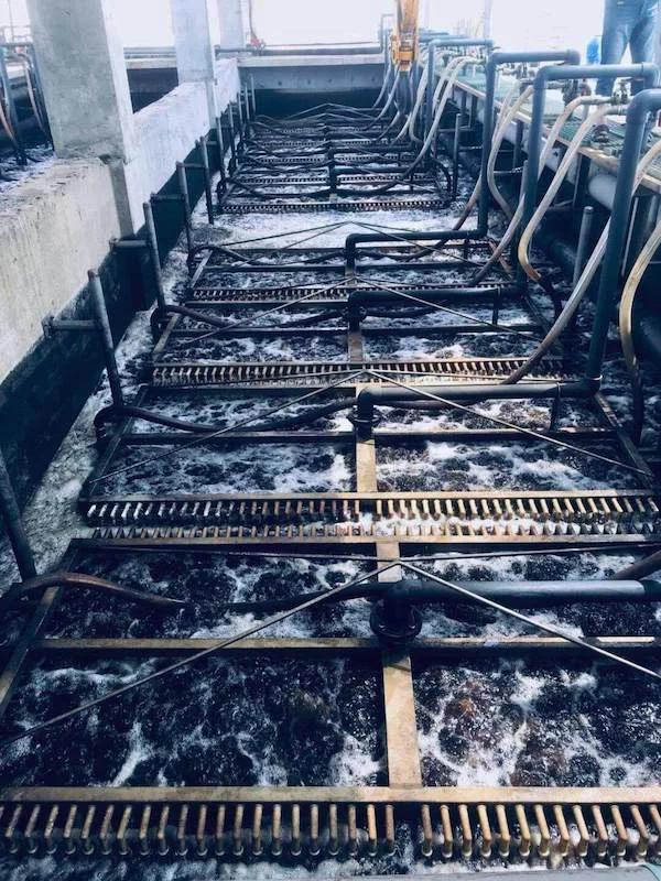 Industrial Wastewater Treatment