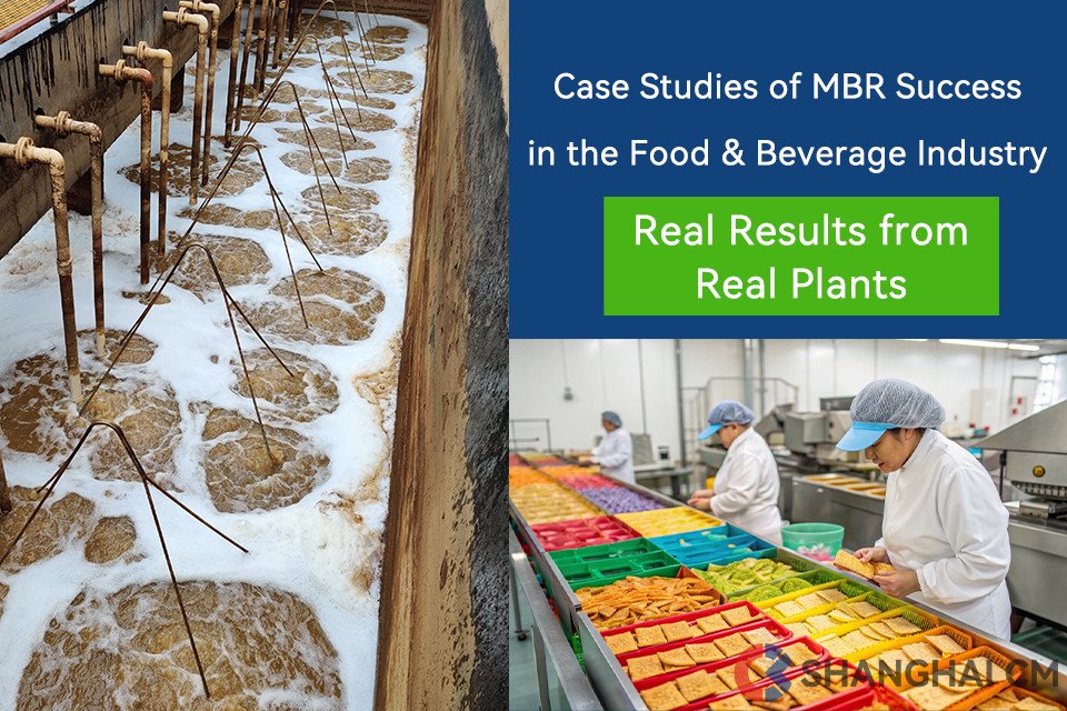 5 Case Studies of MBR Success in the Food & Beverage Industry——Real Results from Real Plants